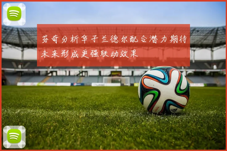 芬奇分析华子兰德尔配合潜力期待未来形成更强联动效果