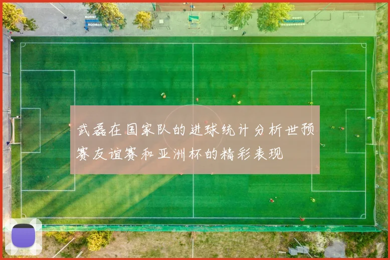 武磊在国家队的进球统计分析世预赛友谊赛和亚洲杯的精彩表现